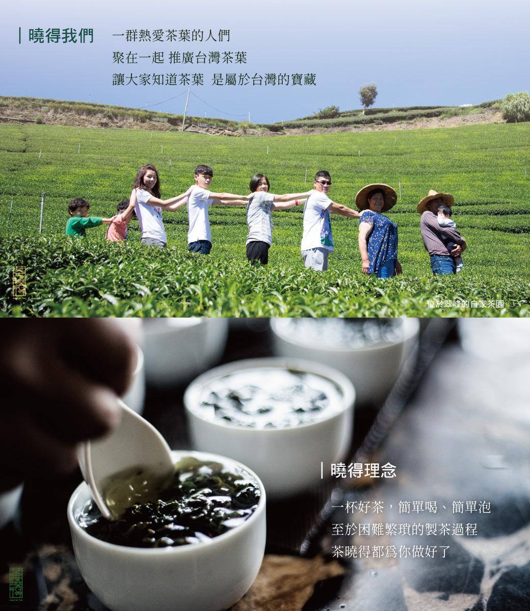 台湾 大禹嶺 高山茶 幻のお茶 直売安い landhausrehwald.de