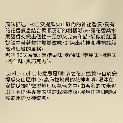 歐客佬 瓜地馬拉安提瓜花神咖啡豆水洗 半磅 中烘焙 含運 Pchome 24h購物