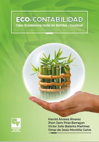 Eco-contabilidad: Caso: Ecosistema Rodal de Bambú – Guadual(Kobo/電子書)
