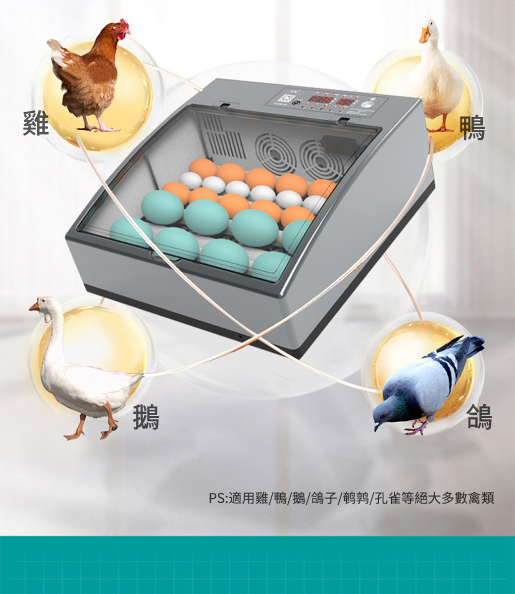 孵化機孵蛋器110v自動雞蛋孵化器24枚蛋鳥蛋鸡鸭家禽全自動孵蛋器雞蛋孵化箱雙電設計 Pchome 24h購物 孵化機孵蛋器110v自動雞蛋孵化器24枚蛋鳥蛋鸡鸭家禽全自動孵蛋器雞蛋孵化箱雙電設計 Pchome 24h購物